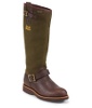 chippewa brome