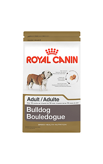 Bulldog Puppy dry dog food | Royal Canin Breed Health ...