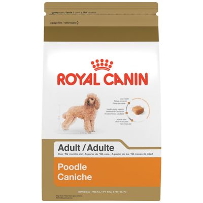 Breed Specific Dog Food and Health Nutrition | Royal Canin