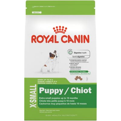 X-Small Adult dry dog food | Royal Canin Size Health Nutrition