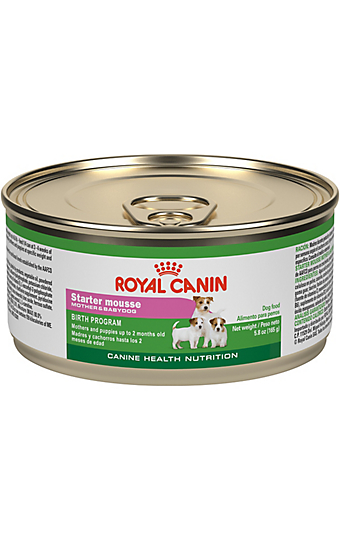 Puppy Food and How Much to Feed a Puppy | Royal Canin