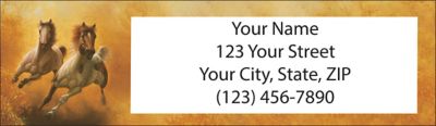 Moments of Majesty Return Address Label