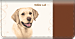 Yellow Lab Checkbook Cover