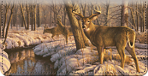 Winter Calm Whitetail Deer Checkbook Cover