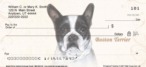 Boston Terrier Paintings Personal Checks