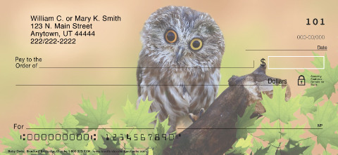 Baby Owls Personal Checks