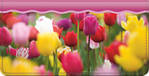 Tulips Checkbook Cover