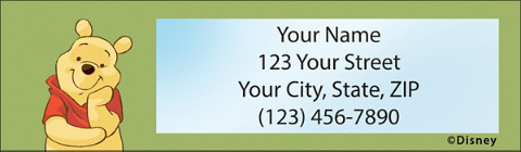 60 Winnie the Pooh Themed Address Return Mailing Labels Cheap Package B