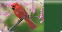 Cardinals Checkbook Cover