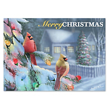 Cardinals, Snow, and Christmas Lights Make A Beautiful Season's Greetings
