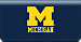 University of Michigan Checkbook Cover