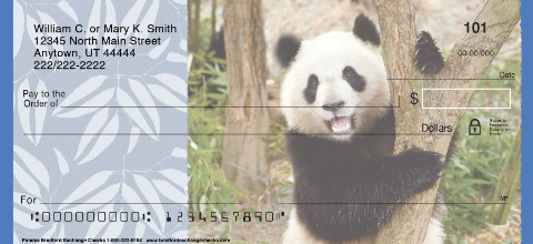 Pandas Personal Checks