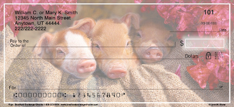 Pigs Personal Checks