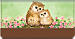 Owl Always Love You Checkbook Cover