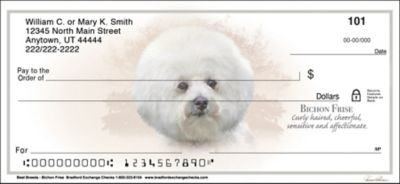 Best Dog Breeds Bichon Frise Checks
