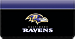 Baltimore Ravens NFL Checkbook Cover