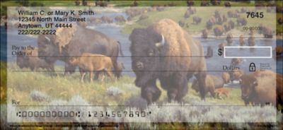 Bison Personal Checks