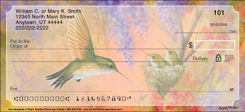 Spy the Secret Life of Hummingbirds in this Exclusive Check Series