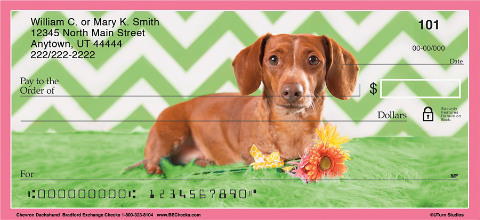 Go Weiner Dog Wild with Checks in Honor of Your Precious Pup