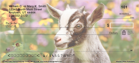 Jump into the Goat Loving Craze with these Check Designs