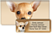 Faithful Friends - Chihuahua Bonus Buy