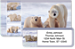 Polar Bears Bonus Buy